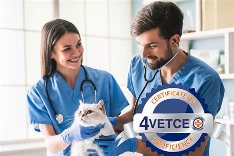 Different Kinds Of Veterinary Specialties