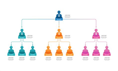 Different Positions Within A Company