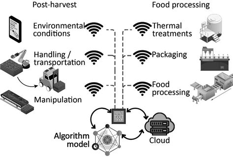 Digital Twins In Agriculture Orchestration And Applications Journal Of Agricultural And Food Chemistry