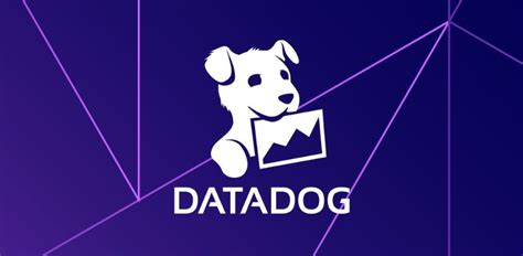 Discover Datadog S Software Engineer Salaries Benefits