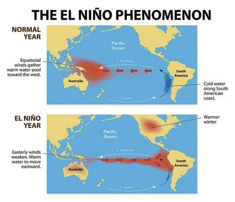 Diseases Caused By El Ni O