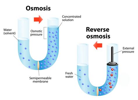 Does Reverse Osmosis Remove Everything