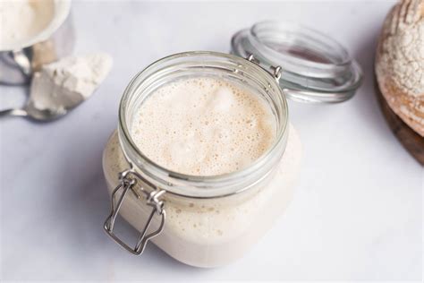 Does Sourdough Starter Need Yeast