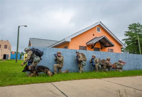 Dogs Handlers From Across Us Army Train At Fort Benning For Deployment