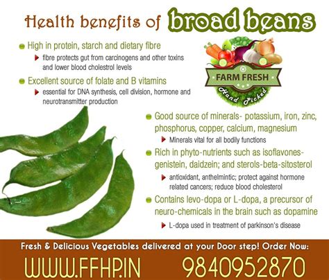 Double Beans Benefits For Female