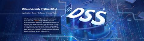 Dss Delaware Website