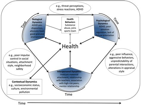 Dynamic Health Persona Guide