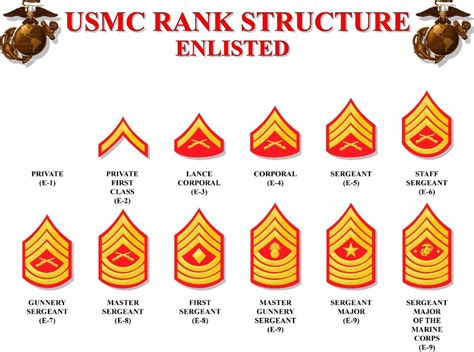 E 4 Marine Rank