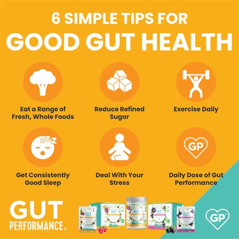 Easy Tips To Improve Gut Health Understanding Your Gut