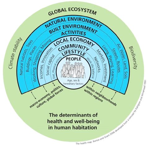 Ecological Model For Public Health