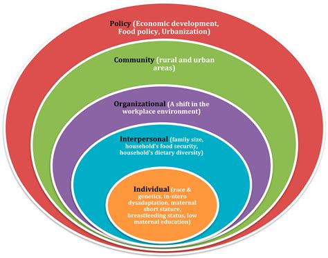 Ecological Model Of Health Levels