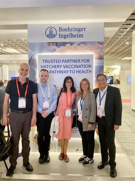 El Equipo De Avicultura De Boehringer Ingelheim Animal Health Espa A