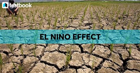 El Nino Effects On Environment