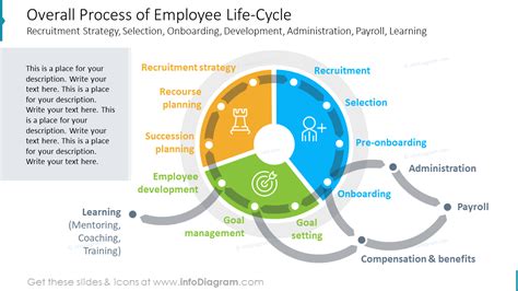 Employee Life Cycle The Ultimate Guide For Hr Aihr