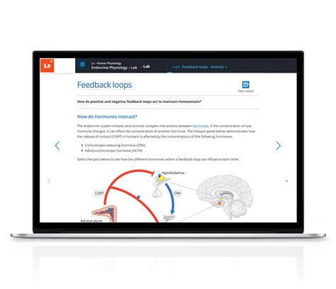 Endocrine Lab Online Endocrine System Physiology Lab Activity Lt