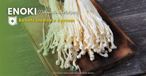 Enoki Mushroom Benefits For Skin