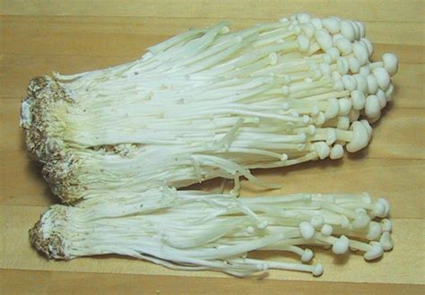 Enoki Mushroom Health Benefits