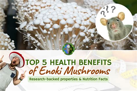 Enoki Mushroom Weight Loss