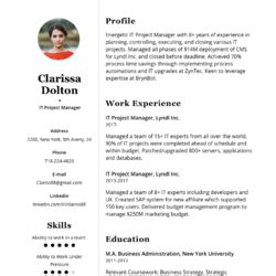 Epic Analyst Resume Example Writing Guide Cvblade