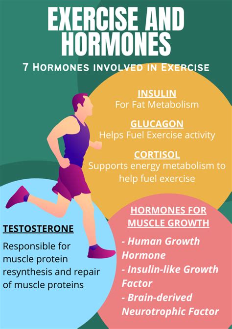 Estrogen And Exercise