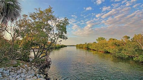 Estuary Health Florida