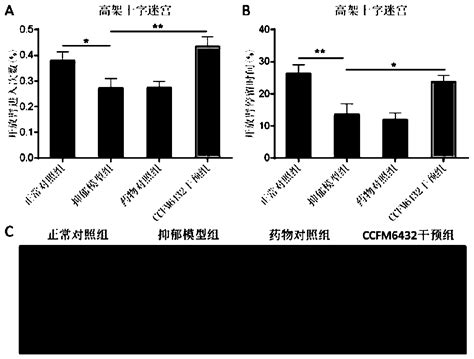 Evaluation Of The Clinical Efficacy Of Pediococcus Acidilactici Ccfm6432 In Alleviating Depression