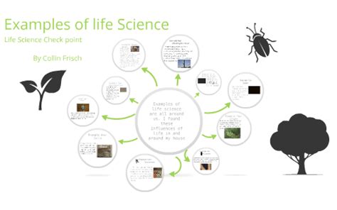 Example Of Life Science