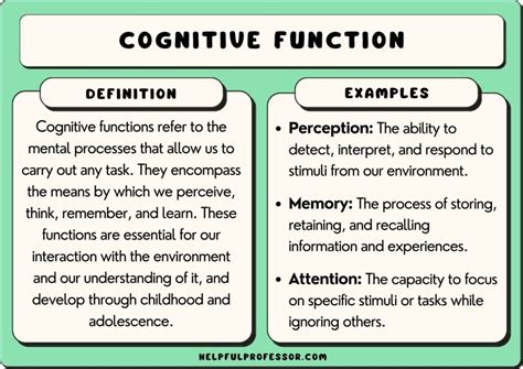 Examples Of Impact On Functioning