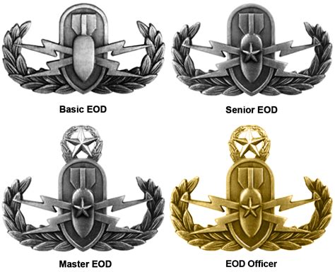 Explosive Ordnance Disposal Badge Meaning