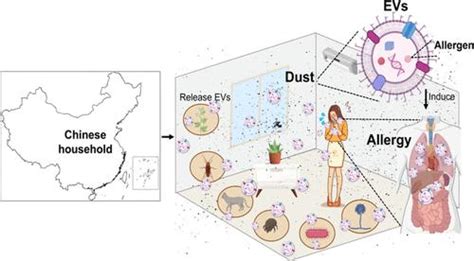 Extracellular Vesicles Are Prevalent And Effective Carriers Of Environmental Allergens In Indoor Dust Environmental Science Technology