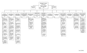 Faa Organizational Chart Pdf