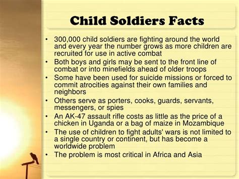 Facts About Soldiers