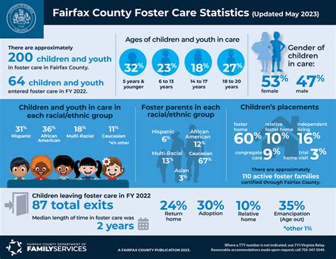 Fairfax County Health Care Application