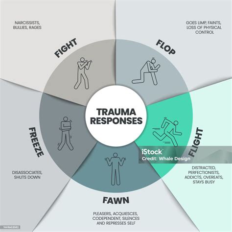 Fear Responses Model Infographic Presentation Template With Icons Is A 5F Trauma Response Such