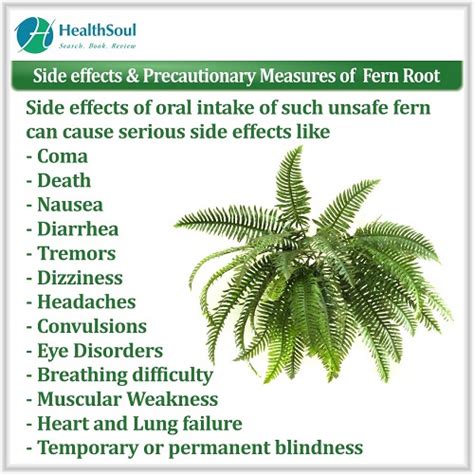 Fern Benefits And Side Effects