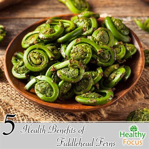 Fiddlehead Fern Benefits