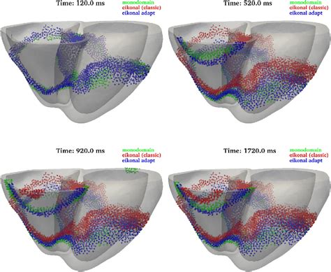 Figure 12 From A Conduction Velocity Adapted Eikonal Model For Electrophysiology Problems With