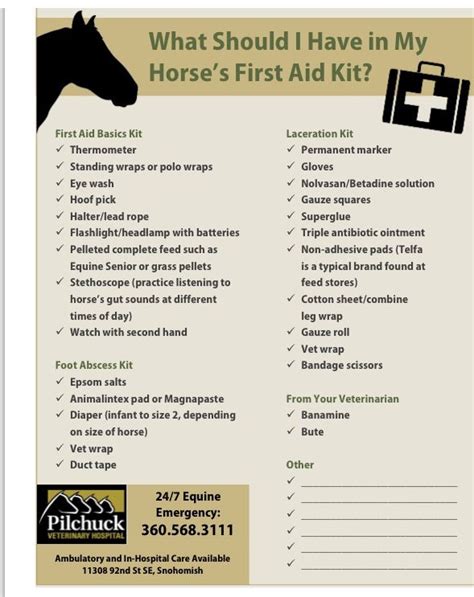 First Aid Tips For Horse Owners Animal Friends