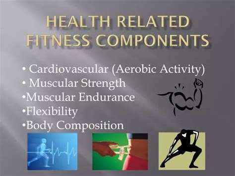 Five Components Of Health Related Fitness Ppt Download