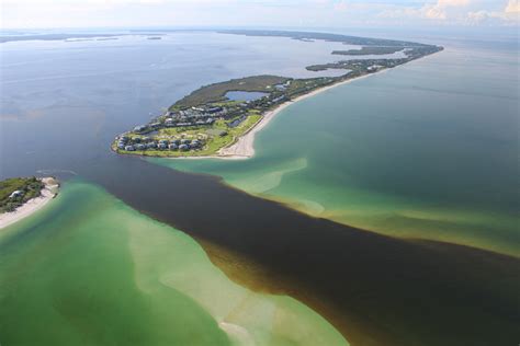 Florida Estuaries In Trouble