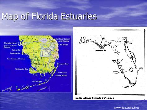 Florida Estuaries Map