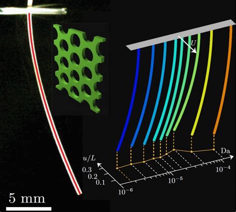 Fluid Structure Interaction Journal