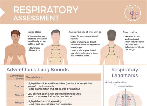 Focused Respiratory Assessment Nursing