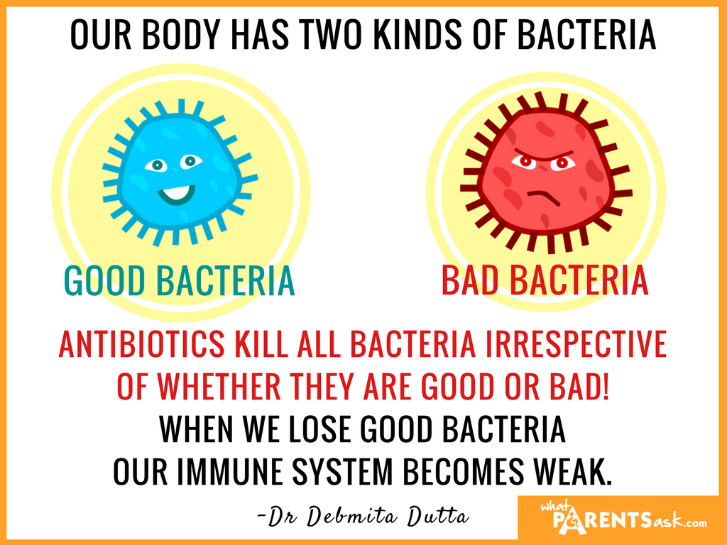 Foods That Kill Bad Bacteria