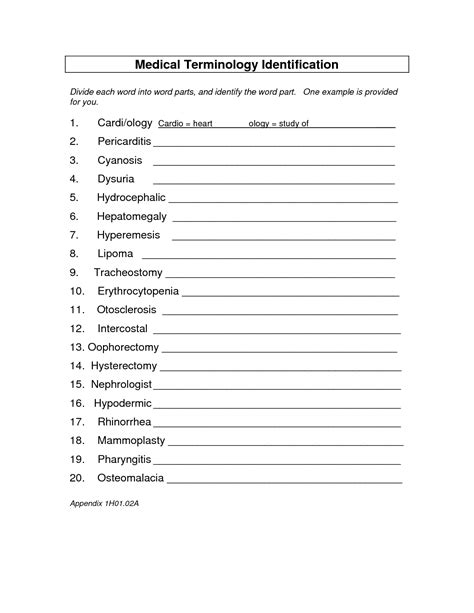 Free Printable Medical Terminology Worksheet