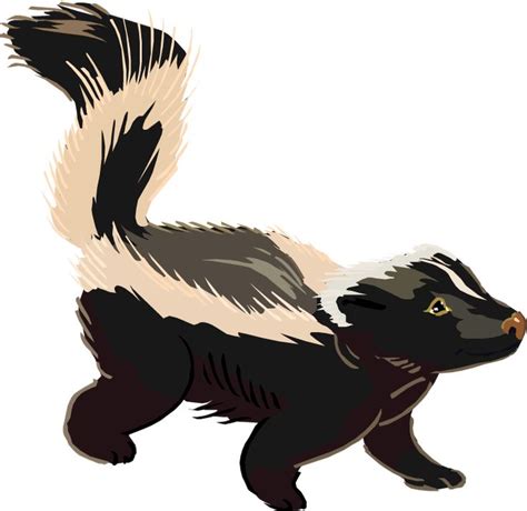 Free Sketches Of Skunks