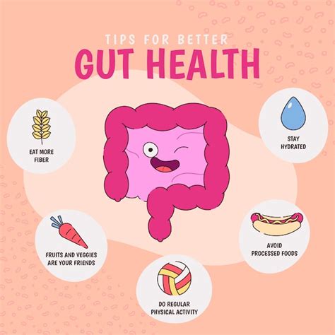 Free Vector Hand Drawn Gut Health Infographic