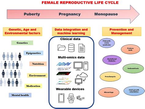 Frontiers Multi Omics And Machine Learning For The Prevention And