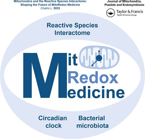 Full Article Mitochondria And The Reactive Species Interactome Shaping The Future Of Mitoredox Medicine