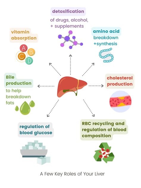 Function Health Blood Work